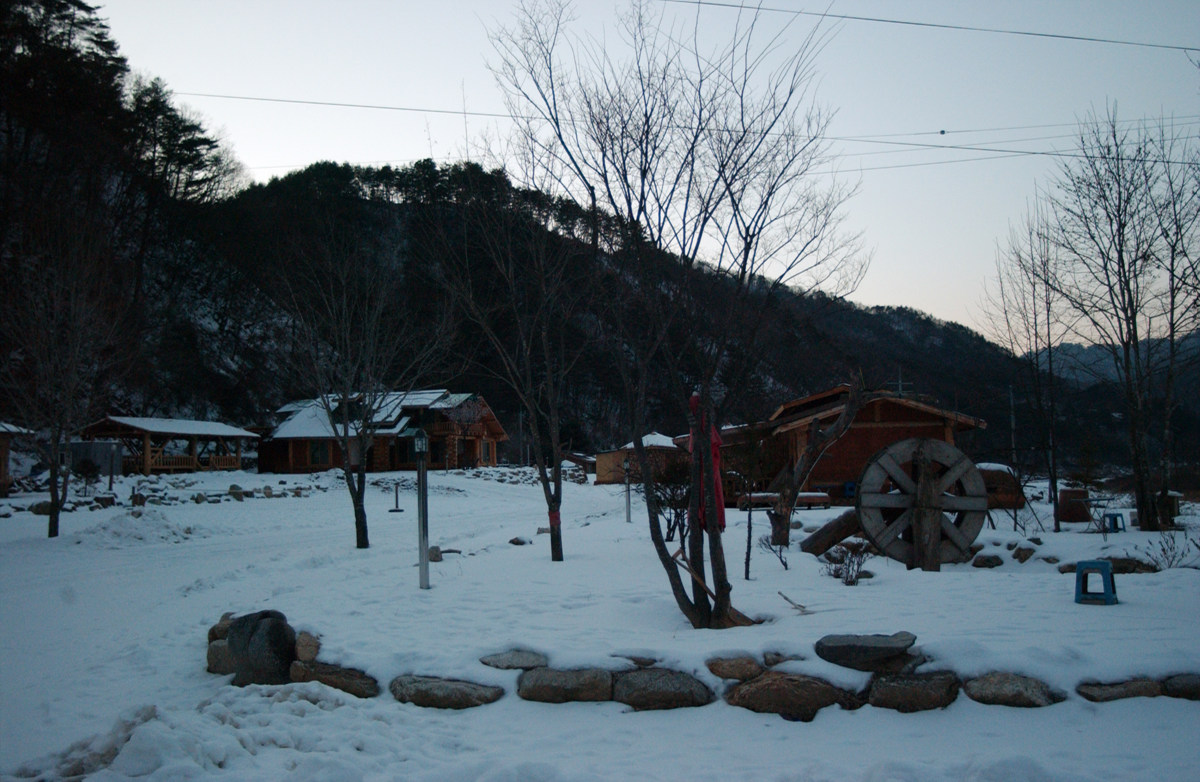 사용자 삽입 이미지