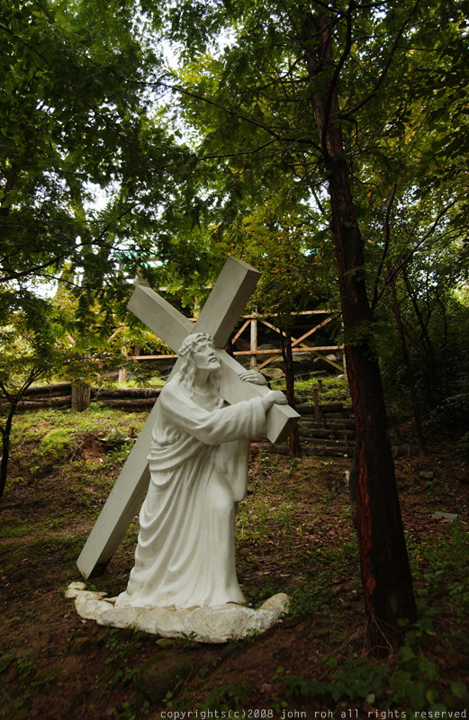 사용자 삽입 이미지