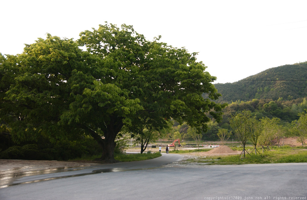 사용자 삽입 이미지